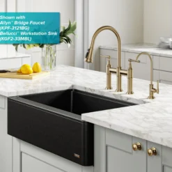 Allyn 100% Lead-Free Kitchen Water Filter Faucet in Brushed Gold