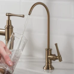 Allyn 100% Lead-Free Kitchen Water Filter Faucet in Brushed Gold