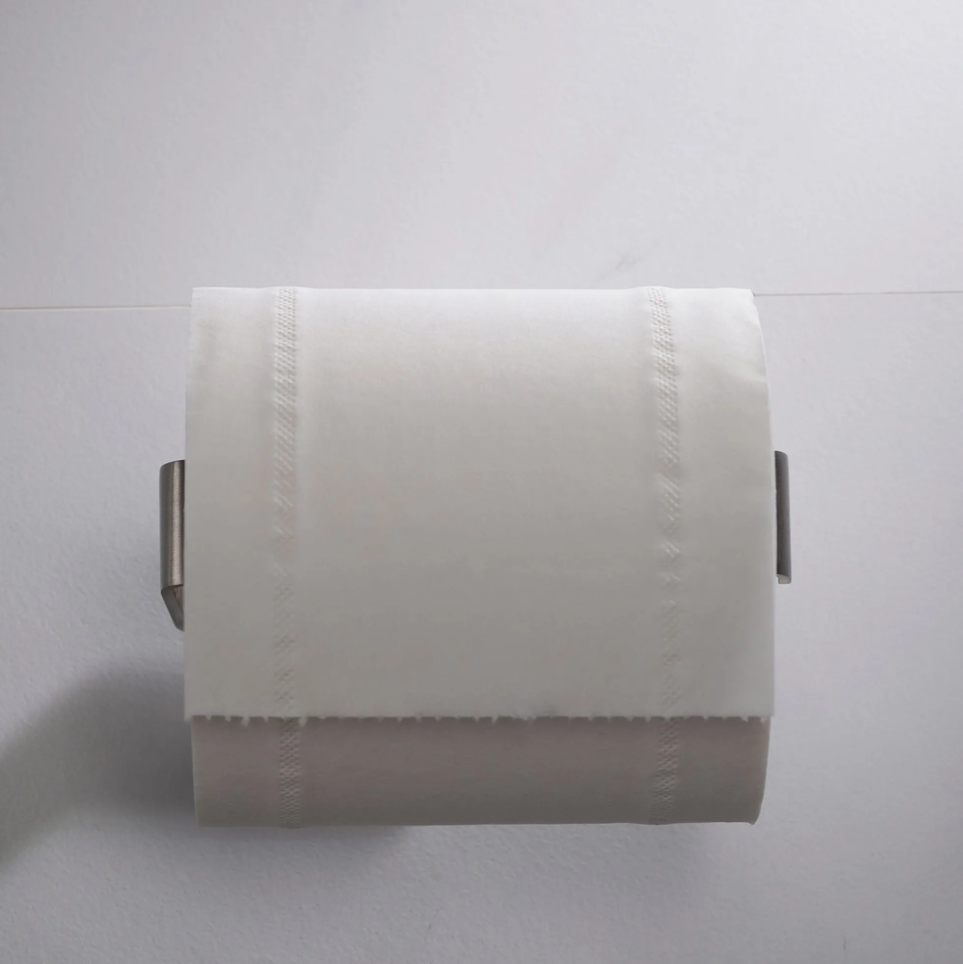 Bathroom Toilet Paper Holder in Brushed Nickel