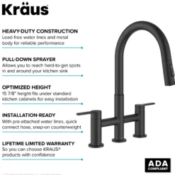 Bridge Kitchen Faucet with Pull-Down Sprayhead in Matte Black