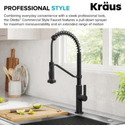 Commercial Style 2-Function Single Handle Pull Down Kitchen Faucet in Matte Black
