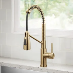Commercial Style 2-Function Single Handle Pull Down Kitchen Faucet in Spot-Free Brushed Brass