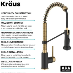 Commercial Style 2-Function Single Handle Pull Down Kitchen Faucet in Brushed Brass / Matte Black