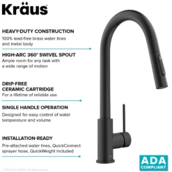 Contemporary Pull-Down Single Handle Kitchen Faucet in Matte Black