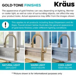 10" Deck Plate for Kitchen Faucet in Brushed Gold
