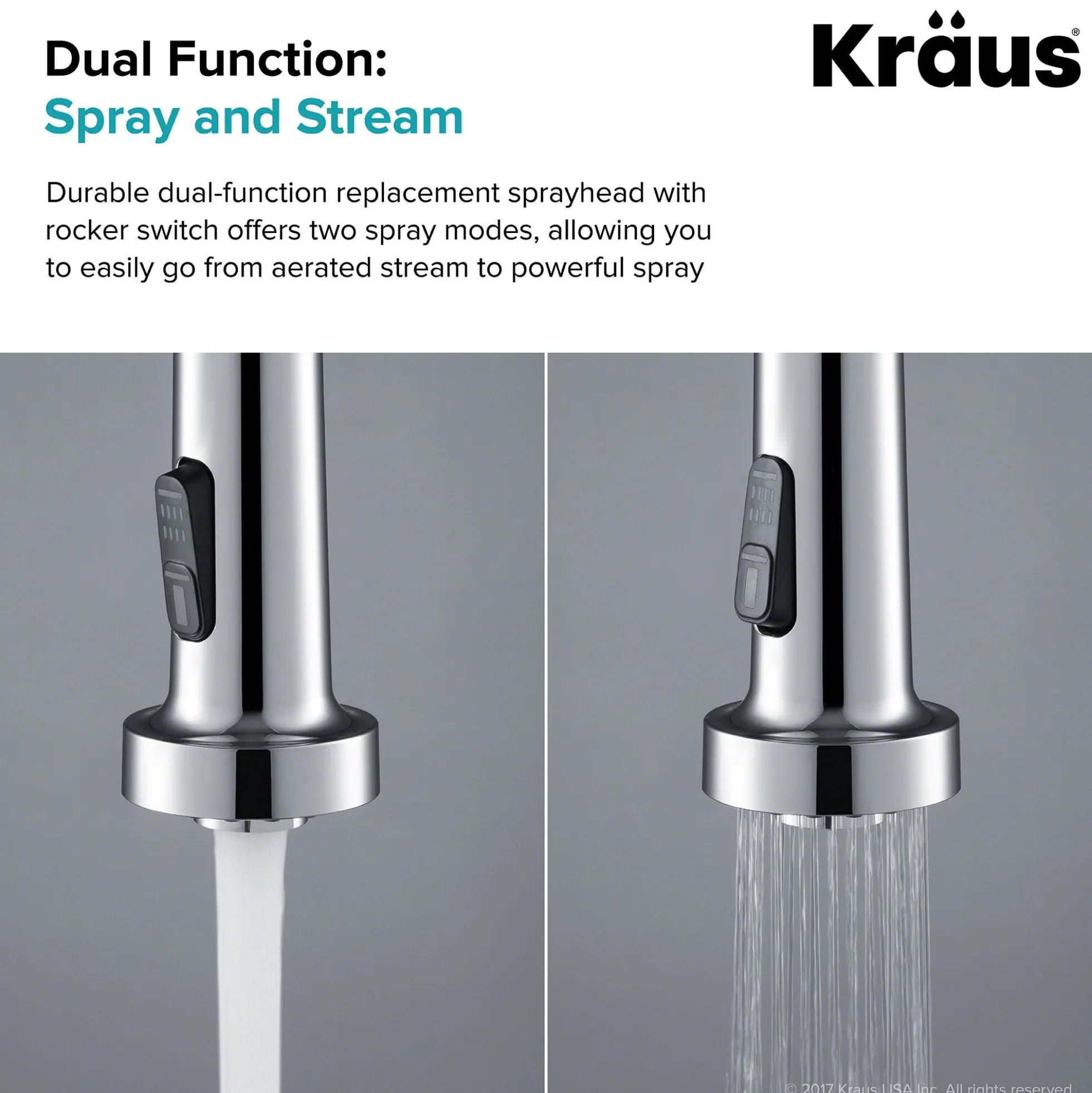 Dual Function Kitchen Faucet Sprayer in Chrome