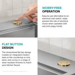 Flat-Top Garbage Disposal Air Switch Button in Brushed Brass