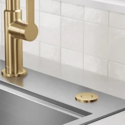 Flat-Top Garbage Disposal Air Switch Button in Brushed Brass