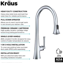 2-Function Single Handle Pull Down Kitchen Faucet in Chrome