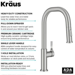 2-Function Single Handle Pull Down Kitchen Faucet in Spot-Free Stainless Steel