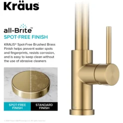 2-Function Single Handle Pull Down Kitchen Faucet in Spot-Free Brushed Brass