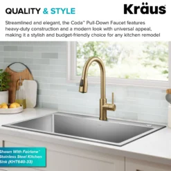 2-Function Single Handle Pull Down Kitchen Faucet in Spot-Free Brushed Brass