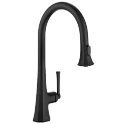 2-Function Single Handle Pull Down Kitchen Faucet in Matte Black