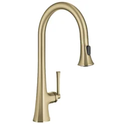 2-Function Single Handle Pull Down Kitchen Faucet in Brushed Gold