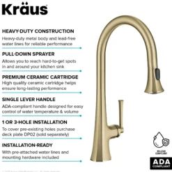 2-Function Single Handle Pull Down Kitchen Faucet in Brushed Gold