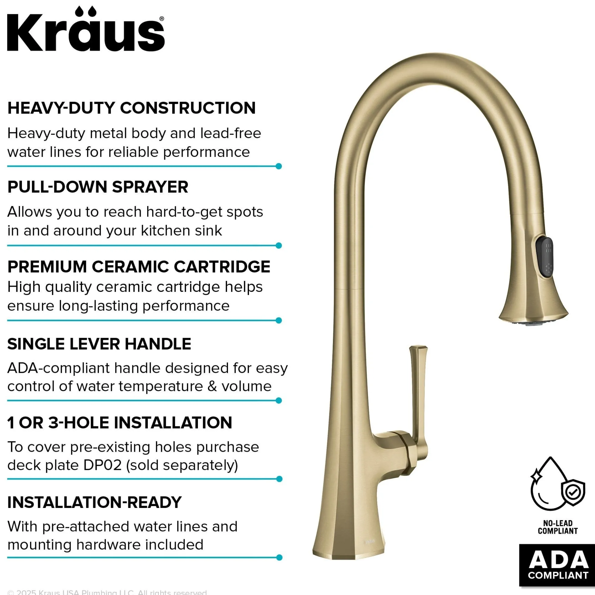 2-Function Single Handle Pull Down Kitchen Faucet in Brushed Gold