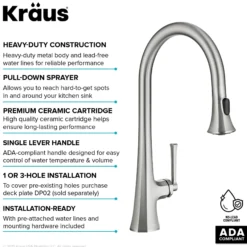 2-Function Single Handle Pull Down Kitchen Faucet in Spot-Free Stainless Steel