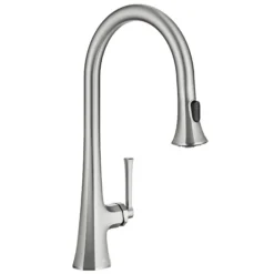 2-Function Single Handle Pull Down Kitchen Faucet in Spot-Free Stainless Steel