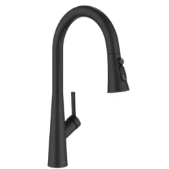 4-Function Single Handle Pull Down Kitchen Faucet with CleanSweep™ Blade Spray in Matte Black