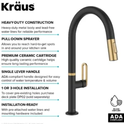 2-Function Single Handle Pull Down Kitchen Faucet in Spot-Free Brushed Brass / Matte Black