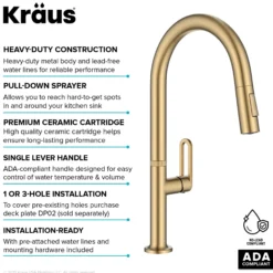 2-Function Single Handle Pull Down Kitchen Faucet in Spot-Free Brushed Brass