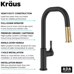 2-Function Single Handle Pull Down Kitchen Faucet in Spot-Free Brushed Brass / Matte Black