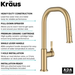 2-Function Single Handle Pull Down Kitchen Faucet in Spot-Free Brushed Brass