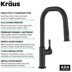 2-Function Single Handle Pull Down Kitchen Faucet in Matte Black