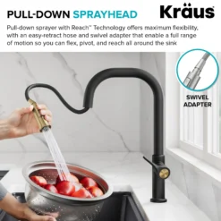 2-Function Single Handle Pull Down Kitchen Faucet in Matte Black