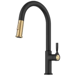 2-Function Single Handle Pull Down Kitchen Faucet in Spot-Free Brushed Brass / Matte Black