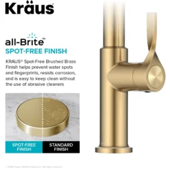 2-Function Single Handle Pull Down Kitchen Faucet in Spot-Free Brushed Brass