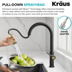 2-Function Single Handle Pull Down Kitchen Faucet in Matte Black