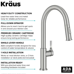 2-Function Single Handle Pull Down Kitchen Faucet in Spot-Free Stainless Steel