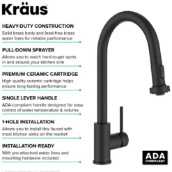 2-Function Single Handle Pull Down Kitchen Faucet in Matte Black