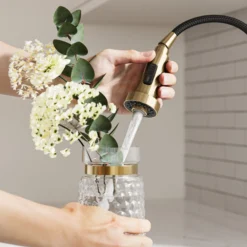 2-Function Single Handle Pull Down Kitchen Faucet in Spot-Free Brushed Brass