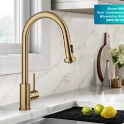 2-Function Single Handle Pull Down Kitchen Faucet in Spot-Free Brushed Brass