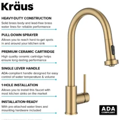 2-Function Single Handle Pull Down Kitchen Faucet in Spot-Free Brushed Brass