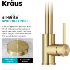 2-Function Single Handle Pull Down Kitchen Faucet in Spot-Free Brushed Brass