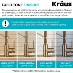 2-Function Single Handle Pull Down Kitchen Faucet in Spot-Free Brushed Brass