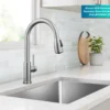 2-Function Single Handle Pull Down Kitchen Faucet in Spot-Free Stainless Steel