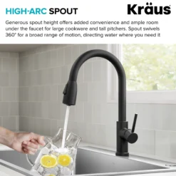 2-Function Single Handle Pull Down Kitchen Faucet in Matte Black