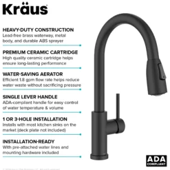 2-Function Single Handle Pull Down Kitchen Faucet in Matte Black