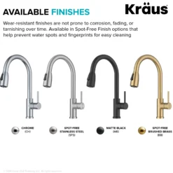 2-Function Single Handle Pull Down Kitchen Faucet in Matte Black
