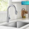 2-Function Single Handle Pull Down Kitchen Faucet in Chrome