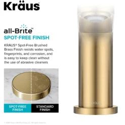 2-Handle 8-inch Widespread Bathroom Faucet in Spot-Free Brushed Brass with Pop Up Drain and Supply Lines