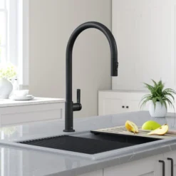 High-Arc Single Handle Pull-Down Kitchen Faucet in Matte Black