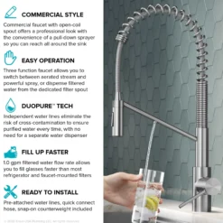 2-in-1 Commercial Style Pull-Down Single Handle Water Filter Kitchen Faucet for Reverse Osmosis or Water Filtration System in Spot-Free Stainless Steel