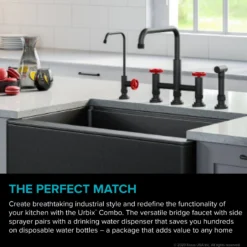 Industrial Bridge Kitchen Faucet and Water Filter Faucet Combo in Matte Black/Red