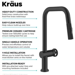 Industrial Pull-Down Single Handle Kitchen Faucet in Matte Black