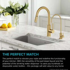 Pull-Down Kitchen Faucet and Water Filter Faucet Combo in Brushed Brass